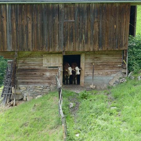 Bergpension-Ebental Brixen im Thale Exterior foto