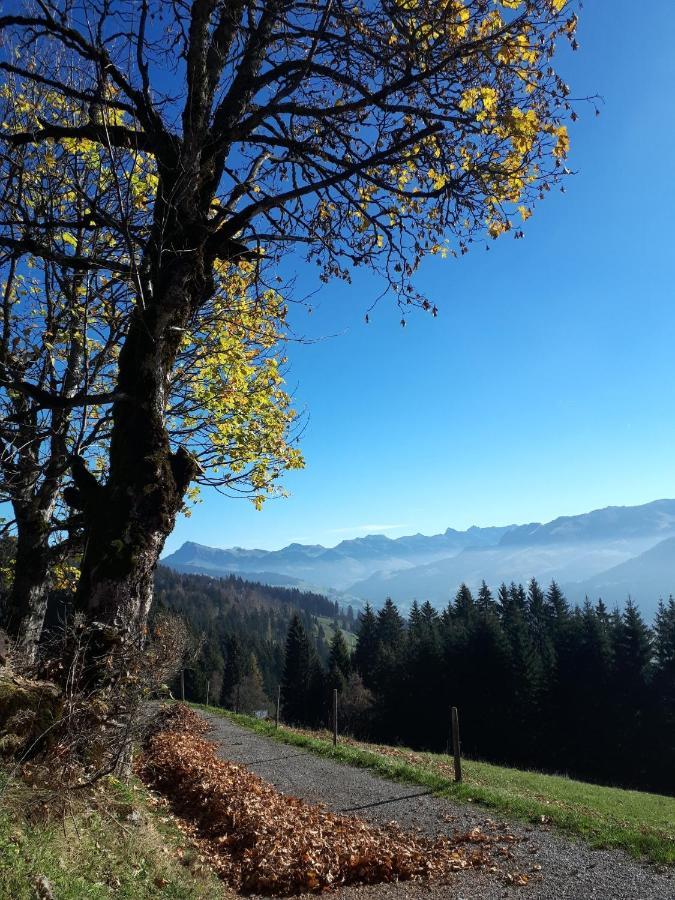 Bergpension-Ebental Brixen im Thale Exterior foto